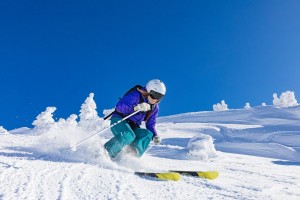 跨界合作：联盟中的明星跨界娱乐活动，跨界演员综艺